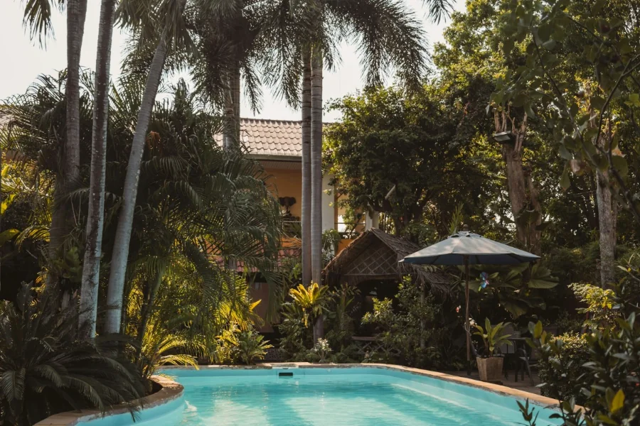 Backyard pool and palms in full afternoon sun