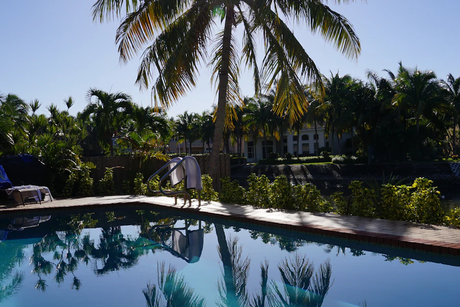 Swimming pool edge with a palm tree beside it